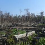 Fbcce41d 0b3b 45cb 87cb dc1107745658