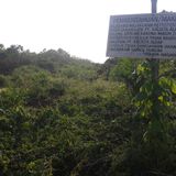 0d3e89bc 0589 40ce b2d2 89fb7cd4fce7