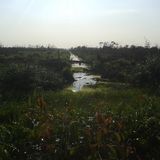 5fa9ba81 1eb7 4630 9d0c 43a018ec80db