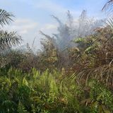 45fc7a68 ec5f 4eae 9823 f8efd8644f17