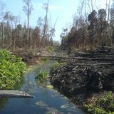 17825f26 3c06 46c4 8226 73b04a69a84c