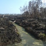 5a567040 ea7e 47ad 967f 7151f438c673