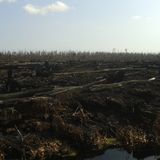 4344eee5 67de 466d a747 0b5c2d8d67f7