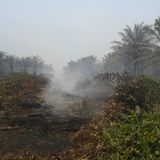 Ba1d24c3 b0f3 40fa a1be 9c07b19e341a