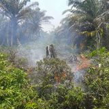 5685e1da d5fa 49a5 9953 67531599d667