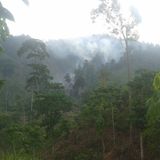 8ac5cd85 040c 4584 930d f91fcb476a0a