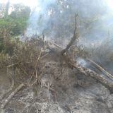 3237183a 49f3 4bdc 9d0d a74c2be19456