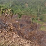 Cd420395 bb57 4241 bead 69722e7267b1